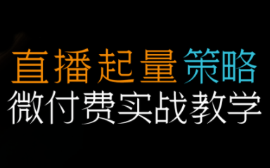 半野老師·直播帶貨起量與微付費(fèi)必學(xué)課視頻號(hào)