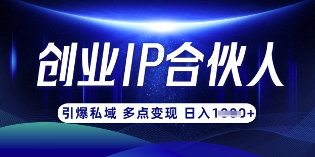 云帆·創(chuàng)業(yè)ip合伙人打造3.0，從0到1教你做網(wǎng)創(chuàng)，實現(xiàn)月入過W
