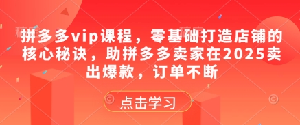 拼多多vip課程，零基礎打造店鋪的核心秘訣，助拼多多賣家在2025賣出爆款，訂單不斷