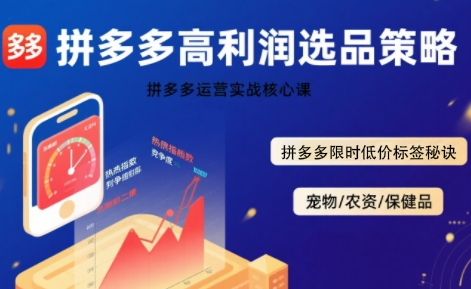 拼多多選品暴利技術(shù)實(shí)戰(zhàn)課，拼多多高利潤選品策略，拼多多限時(shí)低價(jià)標(biāo)簽秘訣