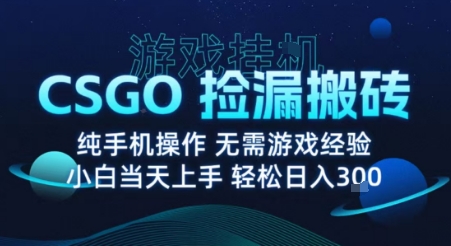 8月最新游戲搬磚，CSGO純掛G，不需要玩游戲，實現真掛G，月入1W+【揭秘】