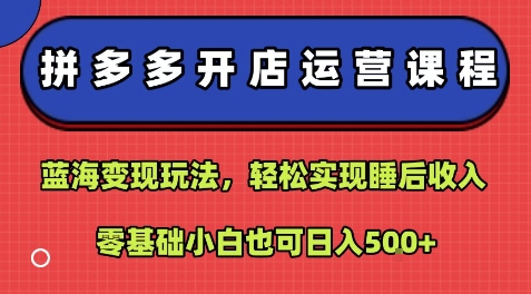 拼多多開店運營課程:藍海變現玩法,輕松實現睡后收入,零基礎小白也可日入5張