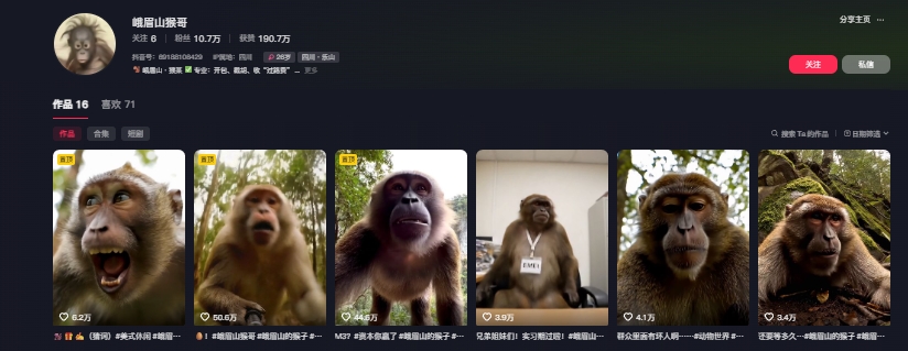 最新爆火的峨眉山猴子短視頻制作教程，條條點贊10w+，誰做誰火【教程+提示詞】