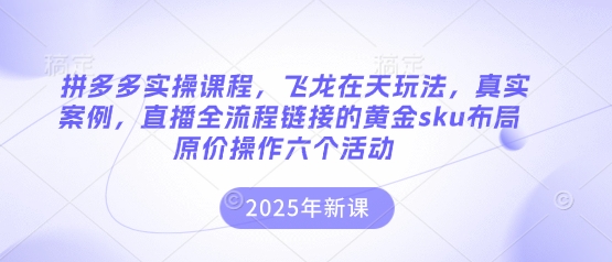 拼多多實操課程，飛龍在天玩法，真實案例，直播全流程鏈接的黃金sku布局原價操作六個活動