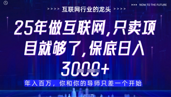 什么!25年你還在找項目做?風口早就變了,賣項目才是穩掙不賠【揭秘】