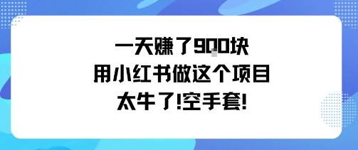一天掙了9張用小紅書做這個項目太牛了，空手套