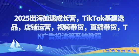 2025出海加速成長營，TikTok基建選品，店鋪運營，視頻帶貨，直播帶貨，TK廣告投流等系統教程