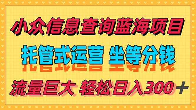 穩定日入300+,小眾信息查詢藍海項目,全程懶人式托管,解放你的時間