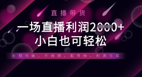 半無人直播帶貨，一場利潤數張，適合所有平臺玩法，小白也可輕松