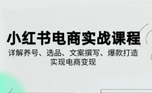 小紅書(shū)從0-1實(shí)操課(2023-2025)，詳解養(yǎng)號(hào)、選品、文案撰寫(xiě)、爆款打造實(shí)現(xiàn)電商變現(xiàn)