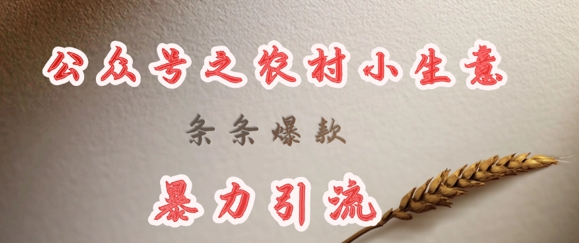 deepseek寫農村小項目，條條爆款，暴力引流