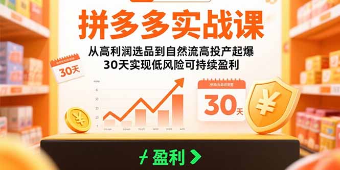 拼多多實戰課：從高利潤選品到自然流高投產起爆 30天實現低風險可持續盈利