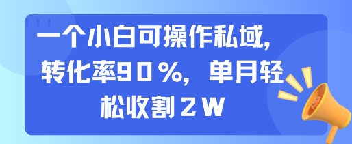 一個小白可操作私域,轉化率90%,單月輕松收割2W