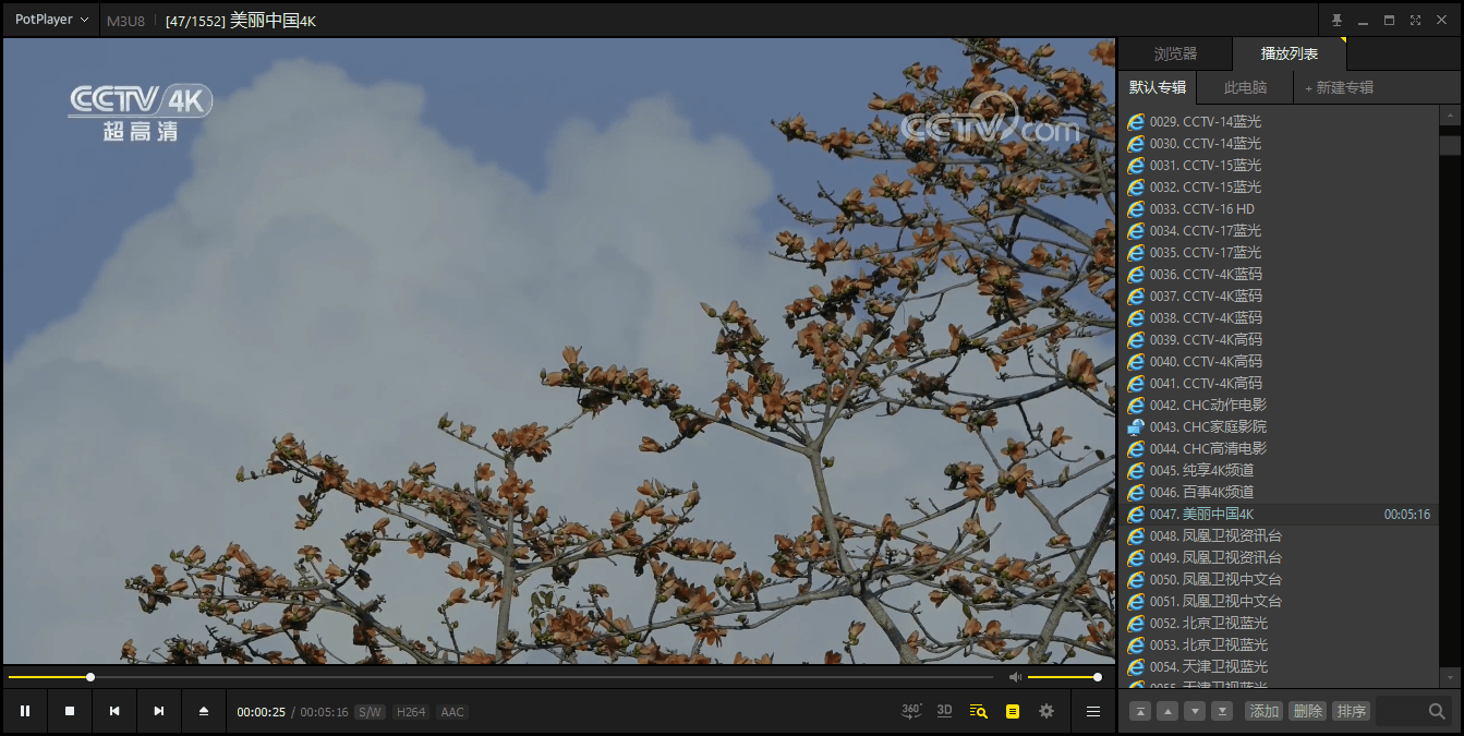 PotPlayer v1.7.22541綠色版