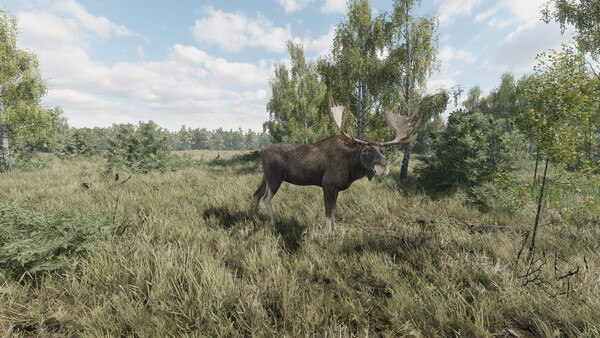 《獵捕行動/On the Hunt》PC中文版下載-含Build.20557498