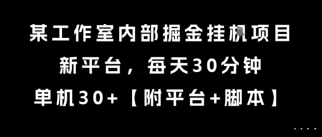 某工作室內部掘金掛G項目，新平臺，每天30分鐘，單機30+【揭秘】
