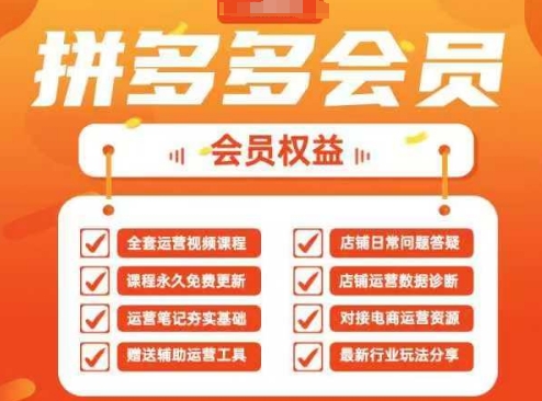 2025拼多多運(yùn)營實(shí)戰(zhàn)課，40節(jié)全流程教學(xué)，覆蓋拼多多運(yùn)營全鏈路