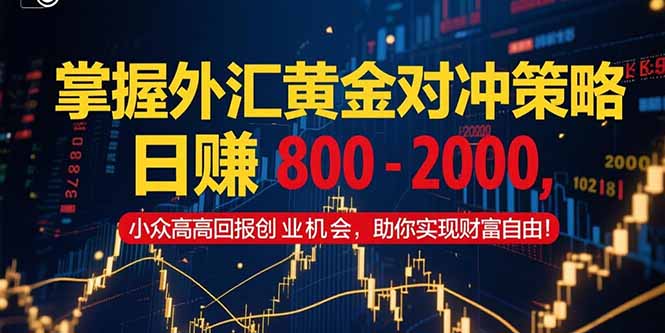 掌握外匯黃金對沖策略，日賺 800 - 2000，小眾高回報創業機會，助你實...