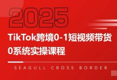大億老師·TikTok跨境0-1短視頻帶貨