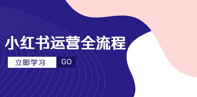 小紅書運營全流程，爆款選題文案，視頻制作技巧，進階達人寶典