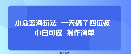 小眾藍海玩法 一天搞了四位數(shù) 小白可做 操作簡單