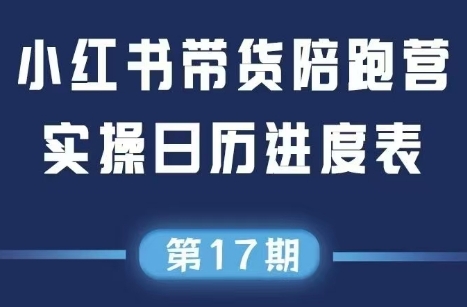 盜坤·抖音小紅書視頻號短視頻帶貨與直播變現(11-17期)