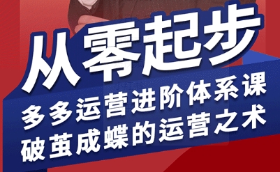拼多多運營進階系統課,從零起步,多多運營進階體系課,破繭成蝶的運營之術