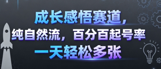 成長感悟賽道，純自然流，百分百起號率 一天輕松多張