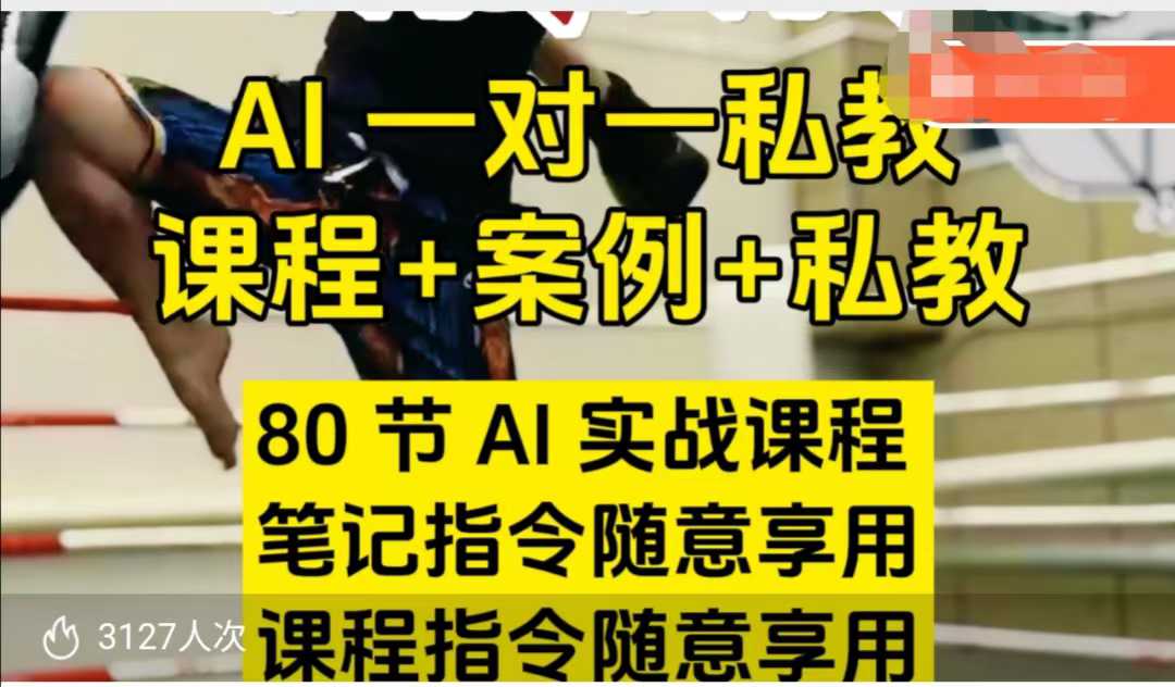 AI指令實戰(zhàn)課，課程+案例，80節(jié)AI實戰(zhàn)課程，筆記指令隨意享用，課程指令隨意享用(更新7月)