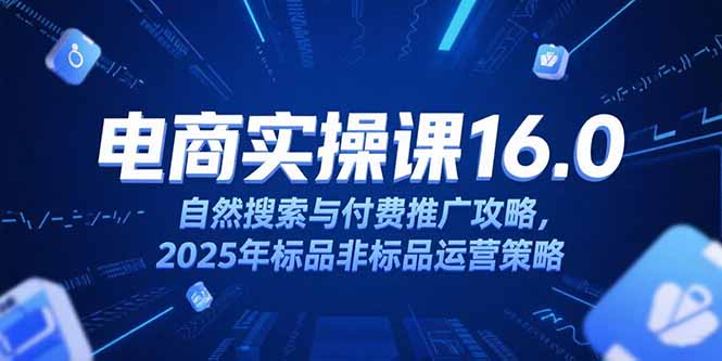 淘寶電商運營課16.0，自然搜索與付費推廣攻略，2025年標品非標品運營策略