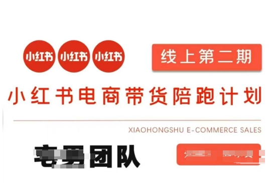 小紅書電商帶貨課2期，月利潤20個的小紅書電商的有貨源，無貨源，虛擬產品，付費投流等整套玩法