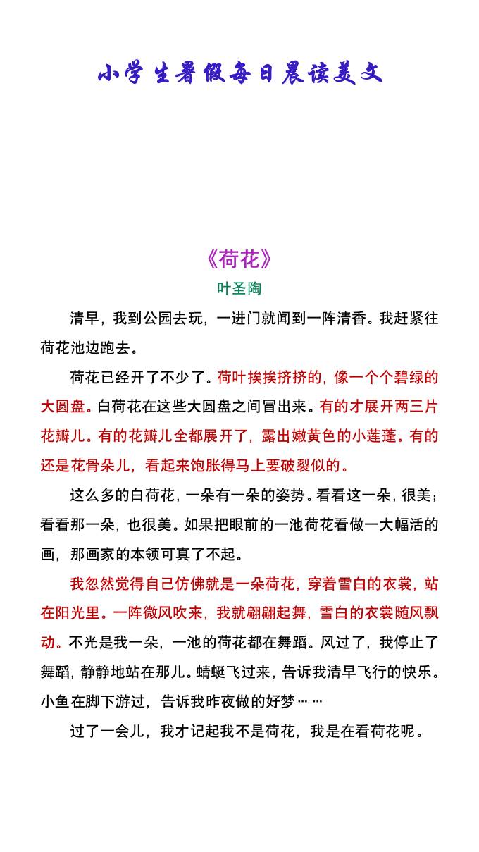 小學生暑假每日晨讀美文:葉圣陶《荷花》-小升初語文