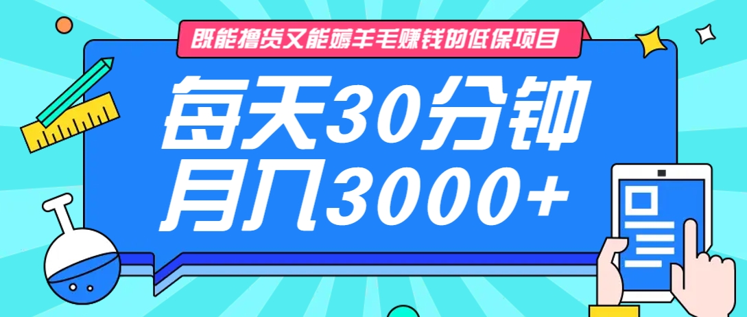 既能擼貨又能賺錢的長期低保項目，每天30分鐘，多號百分百穩定月入3000+！