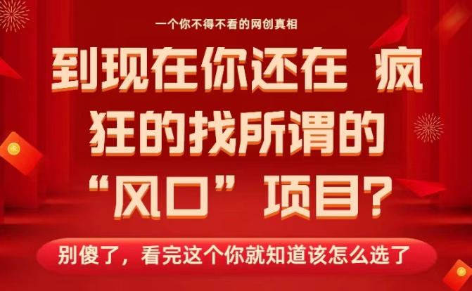 馬上26年了，你還在找所謂的風口項目？別傻了，看完這個你全都懂了！【揭秘】