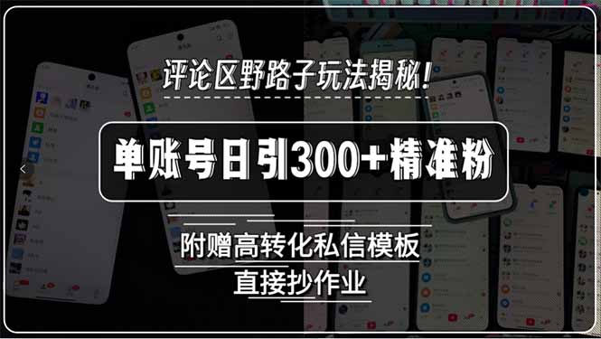 評論區野路子玩法揭秘！單賬號日引300+精準粉，附贈高轉化私信模板，直...