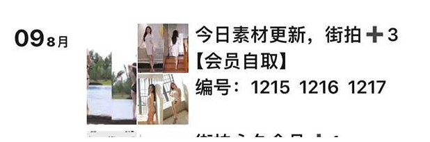 套圖項目玩法，零成本，有手機就能操作！