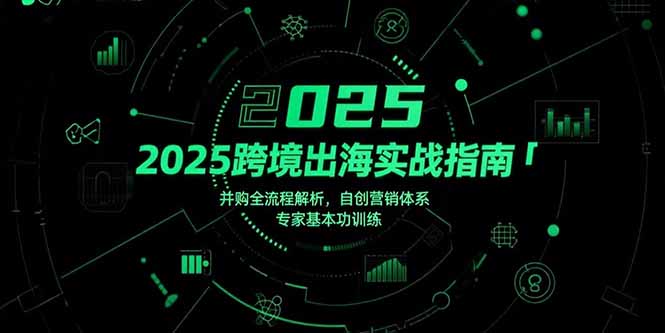 2025跨境出海實戰指南，并購全流程解析，自創營銷體系，專家基本功訓練