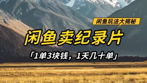 閑魚賣紀錄片1單3塊錢，1天幾十單，項目穩定有潛力