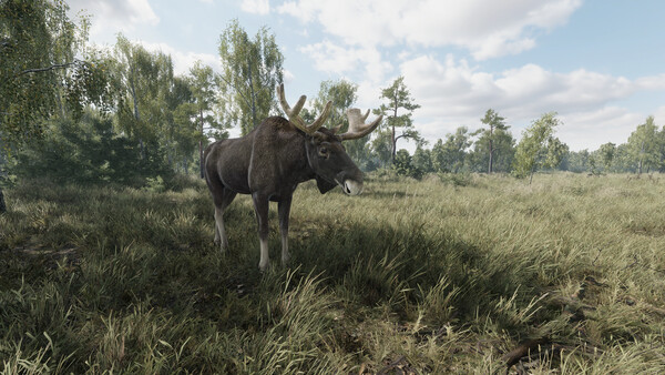 《獵捕行動/On the Hunt》PC中文版下載-含Build.20557498