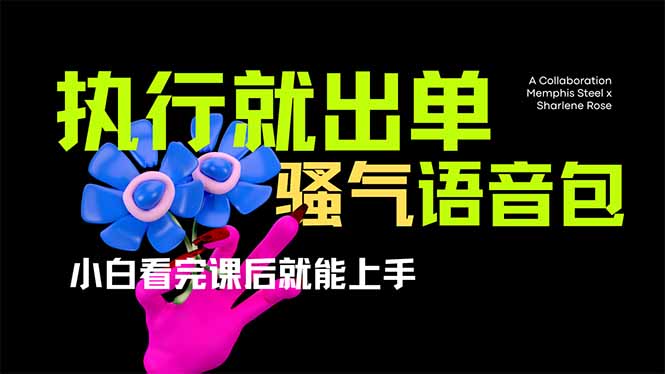 爆火全網的開車導航騷氣語音包,只要執行就出單，小白看完課程就能實操…