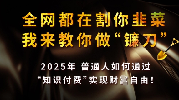 全網都在割你韭菜，我來教你做鐮刀，2025普通人如何通過知識付費，實現財F自由【揭秘】