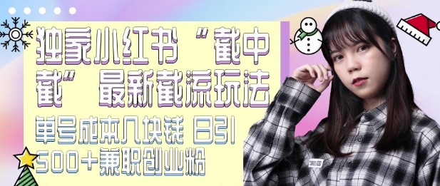 最新小紅書(shū)截流玩法 獨(dú)家截中截 單號(hào)成本幾塊錢(qián) 日引500+CY粉JZ粉