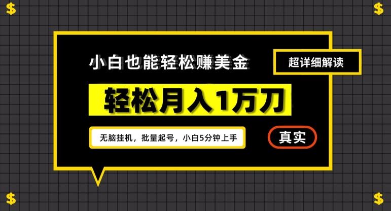 谷歌看廣告擼美金2.0，無腦掛機，多號操作，月入1萬刀【揭秘】