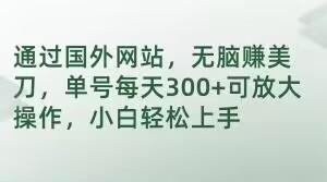 通過國外網站，無腦賺美刀，單號每天300+可放大操作，小白輕松上手【揭秘】