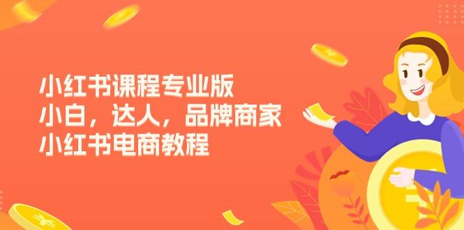 小紅書課程專業(yè)版，小白，達(dá)人，品牌商家，小紅書電商教程(15節(jié)