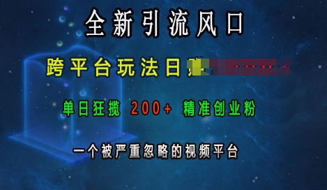 全新引流風口，跨平臺玩法日入上k，單日狂攬200+精準創業粉，一個被嚴重忽略的視頻平臺