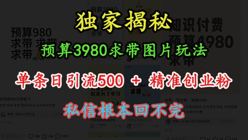 預算3980求帶 圖片玩法，單條日引流500+精準創業粉，私信根本回不完