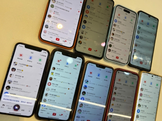 首發(fā)揭秘小紅書(shū)私域日引500+創(chuàng)業(yè)粉四大模板，月入過(guò)W+全程干貨!沒(méi)有廢話(huà)!保姆教程!