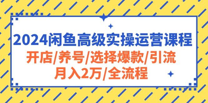 2024閑魚高級實操運營課程：開店/養號/選擇爆款/引流/月入2萬/全流程