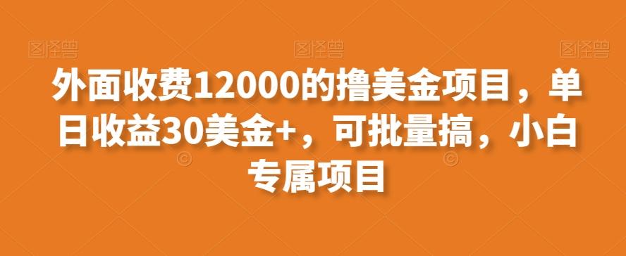 外面收費12000的擼美金項目，單日收益30美金+，可批量搞，小白專屬項目